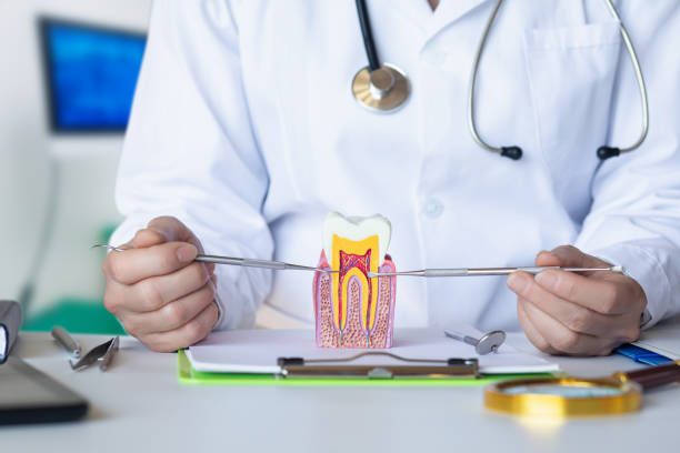 Best Emergency Orthodontic Repairs in Tucker, GA